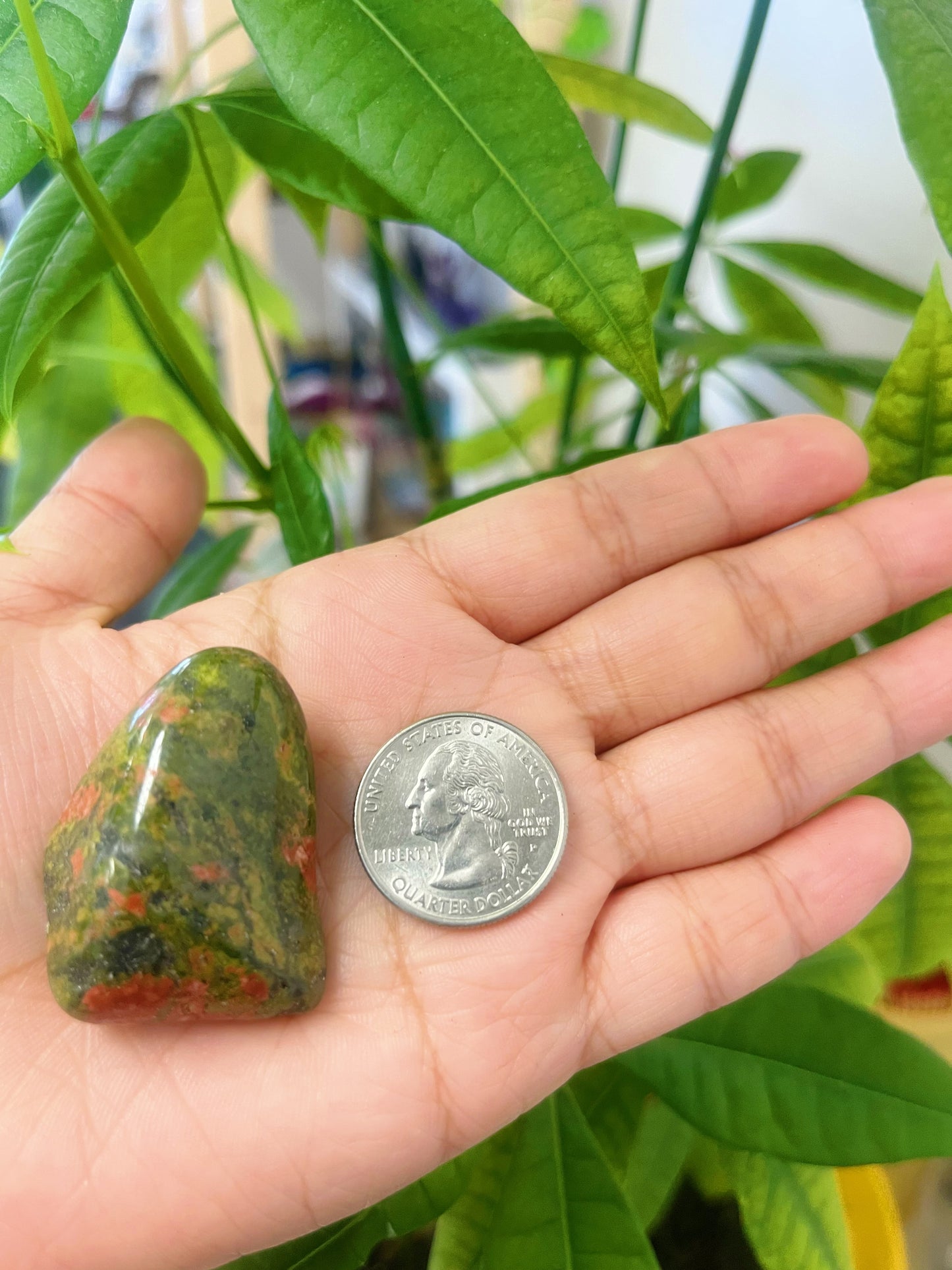 Unakite Tumbled