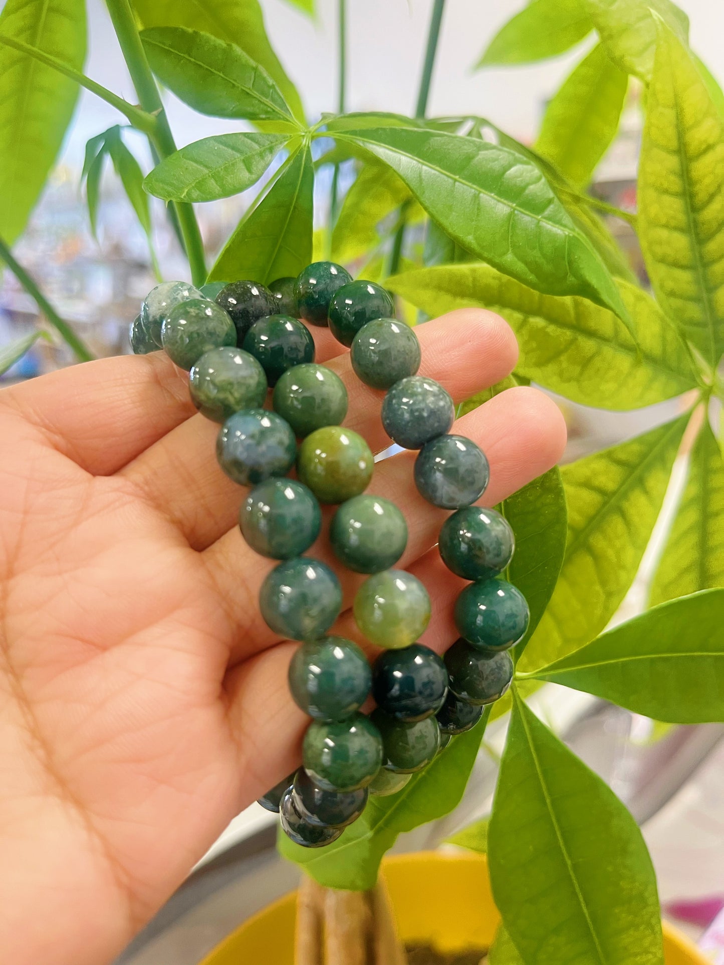 Moss Agate Bracelet