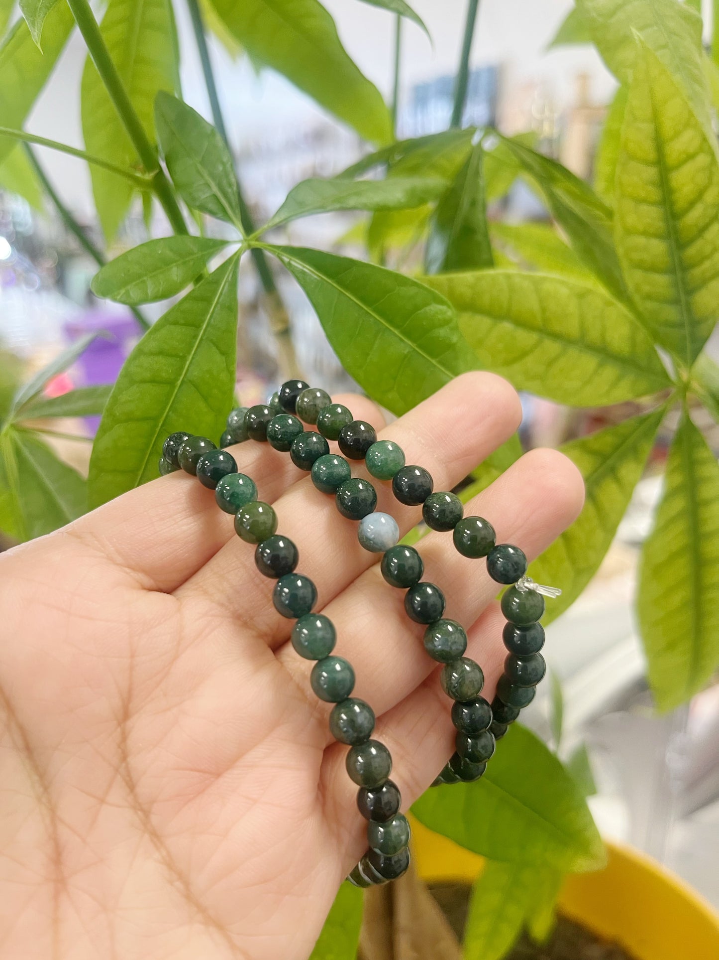 Moss Agate Bracelet