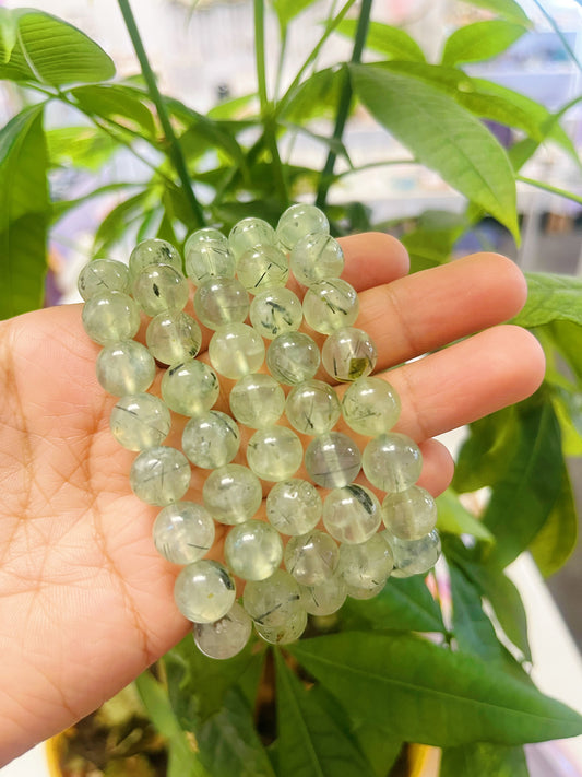 Prehnite Bracelet 8mm