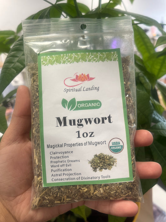 Mugwort Organic 1oz