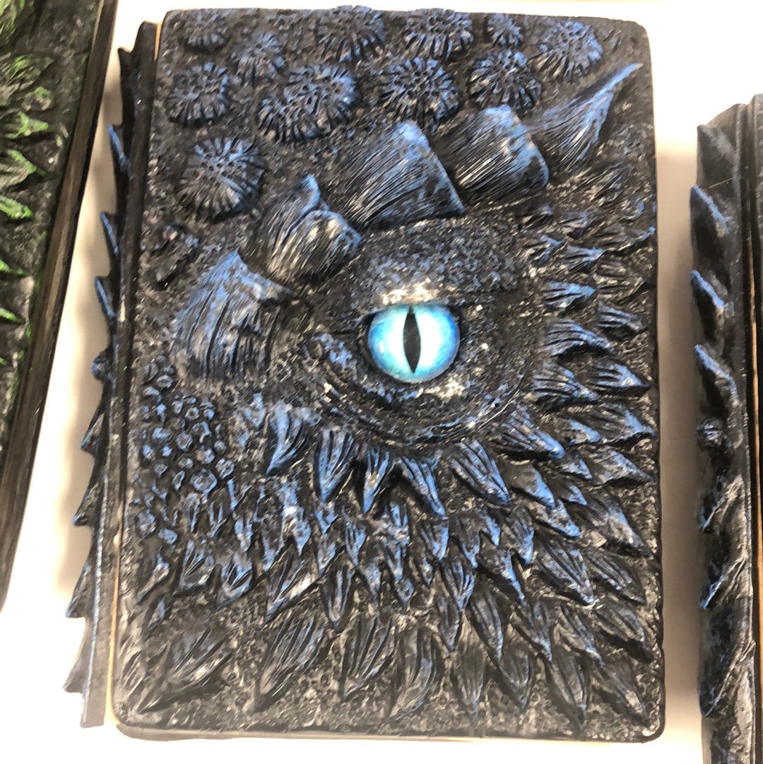 Dragon Eye Notebooks