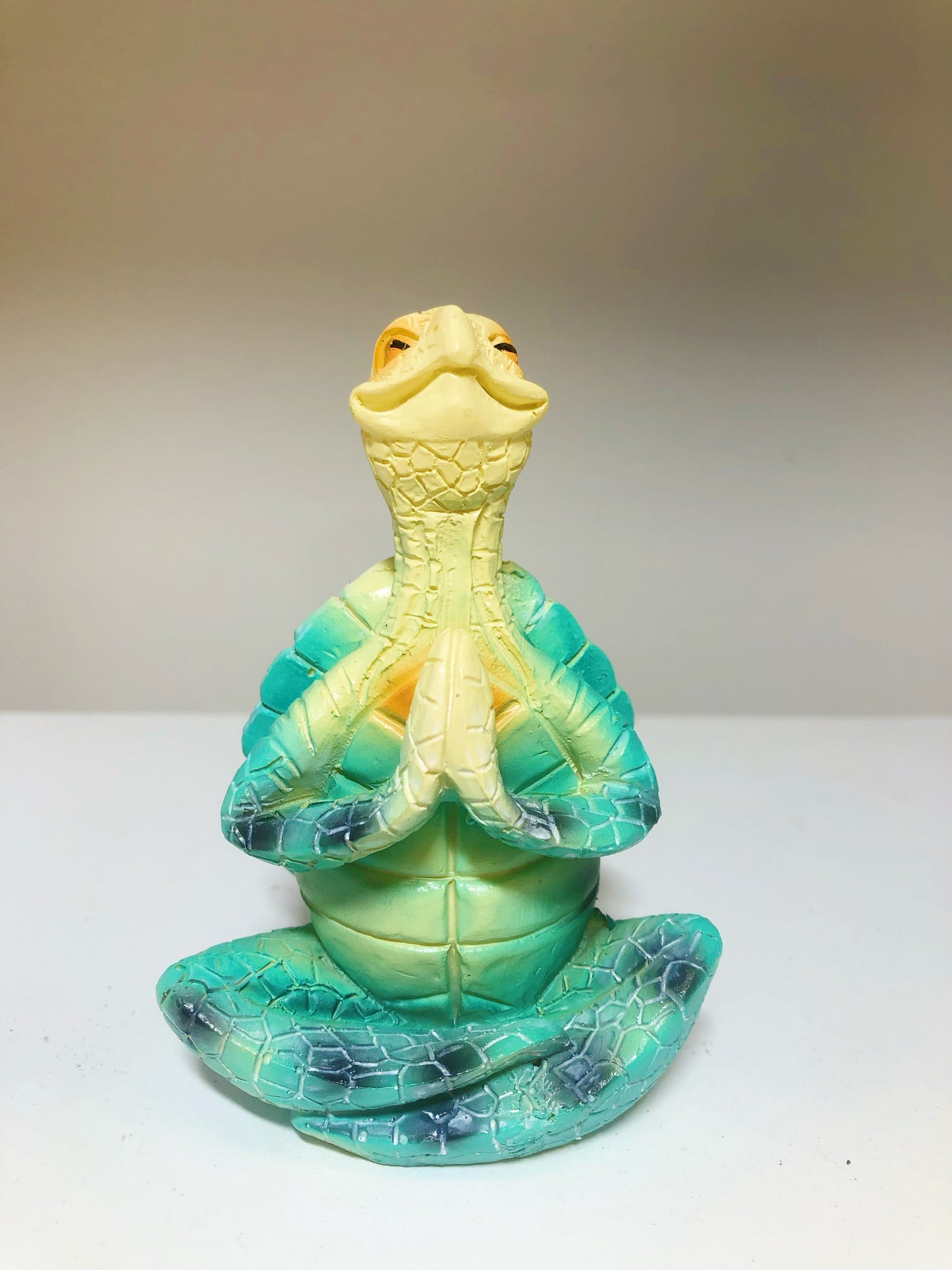 Meditation Sea Turtle