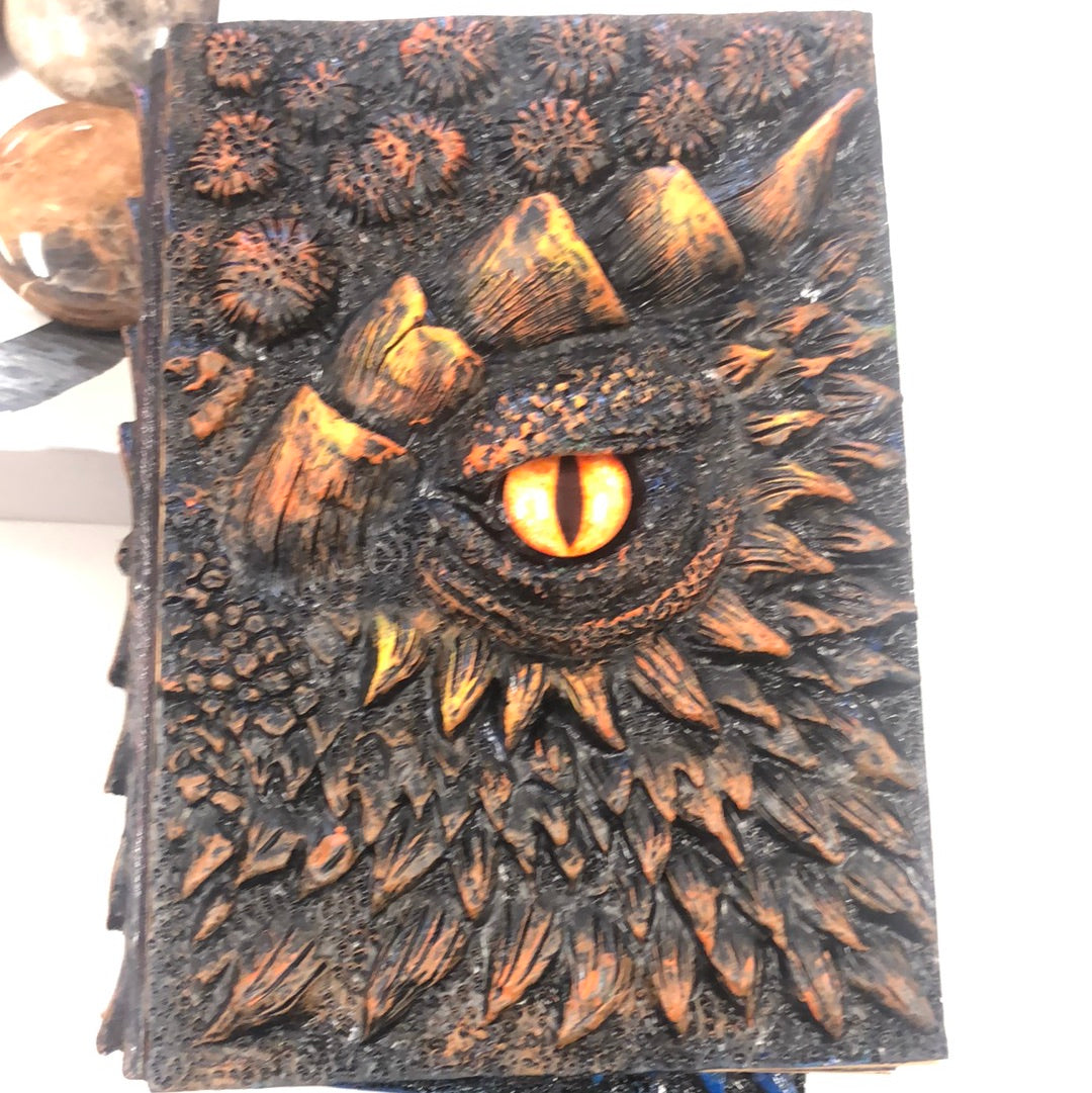 Dragon Eye Notebooks