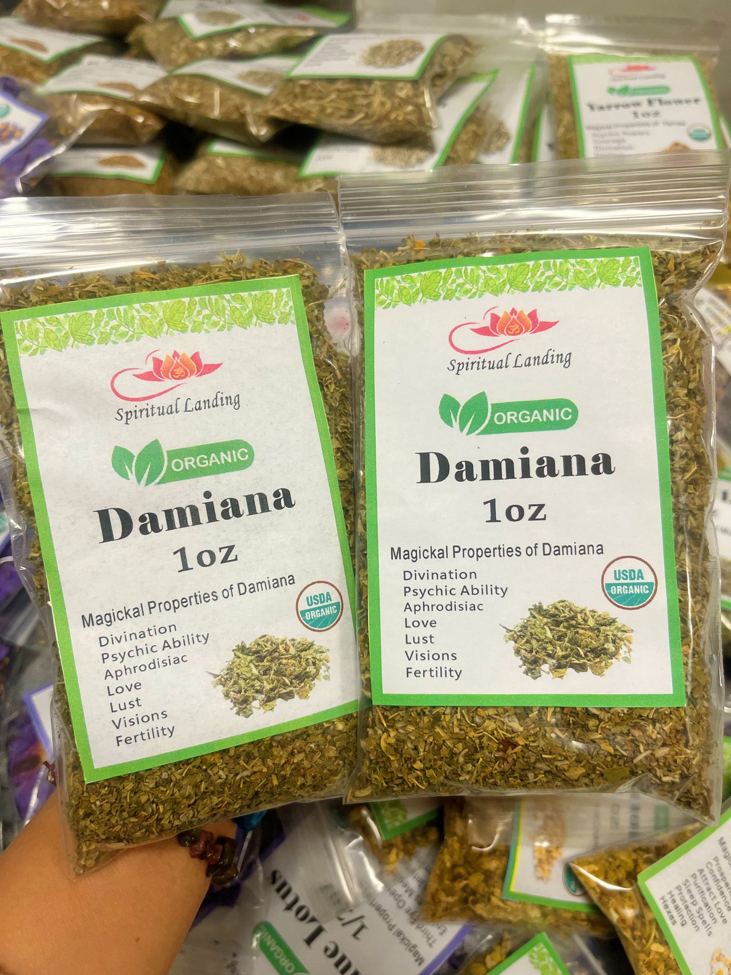 Damiana Leaf Organic