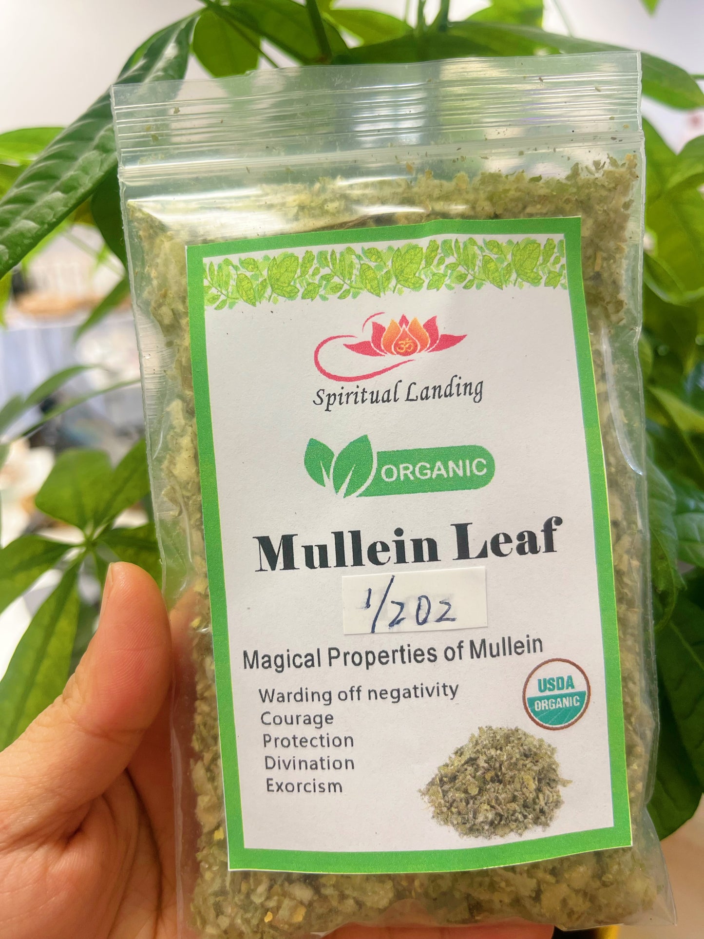 Mullein Leaf Organic