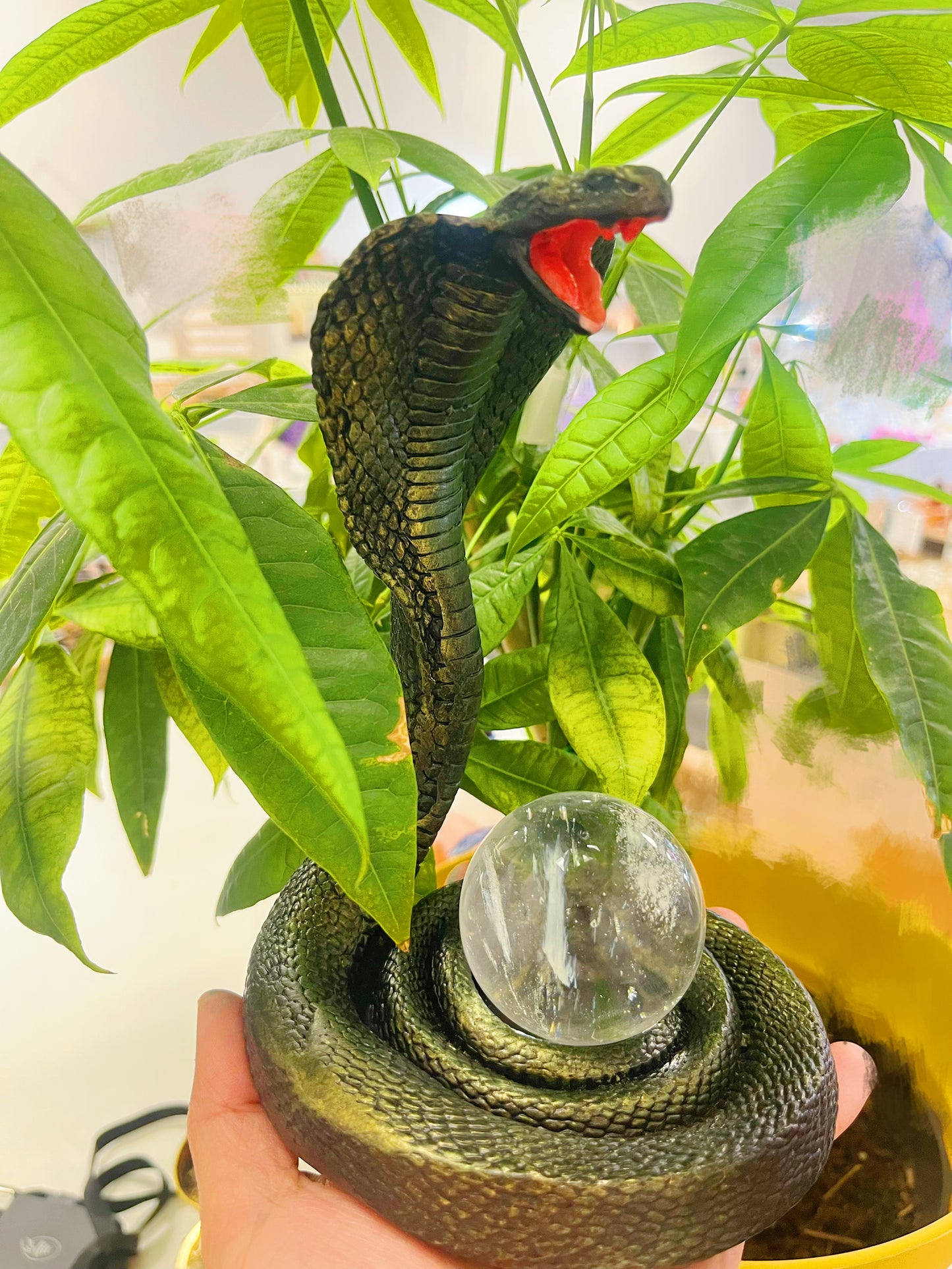 Snake Sphere Holder