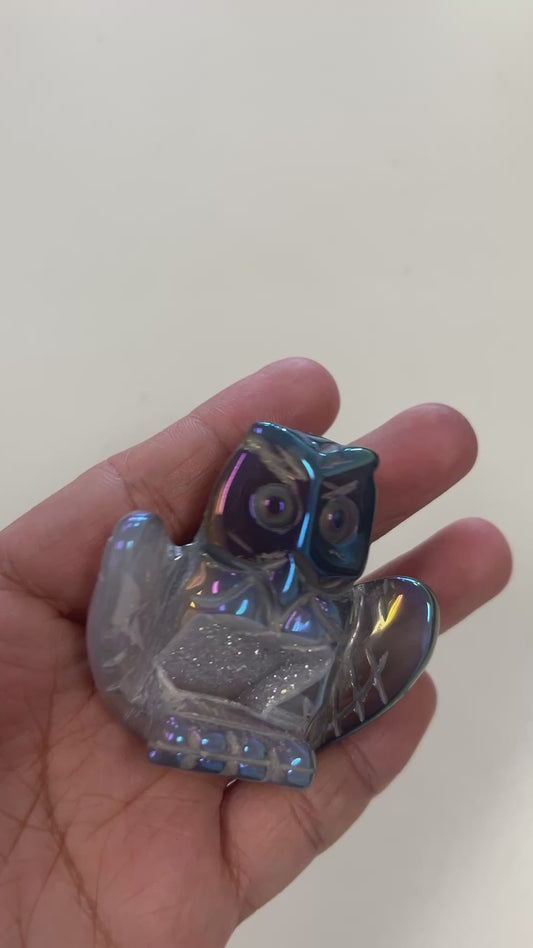 owl turtle Aura Druzy Agate Carvings