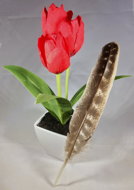 [Incense, Gemstones, Spiritual, Ritual, Candle, Herb] - Spiritual Landing 