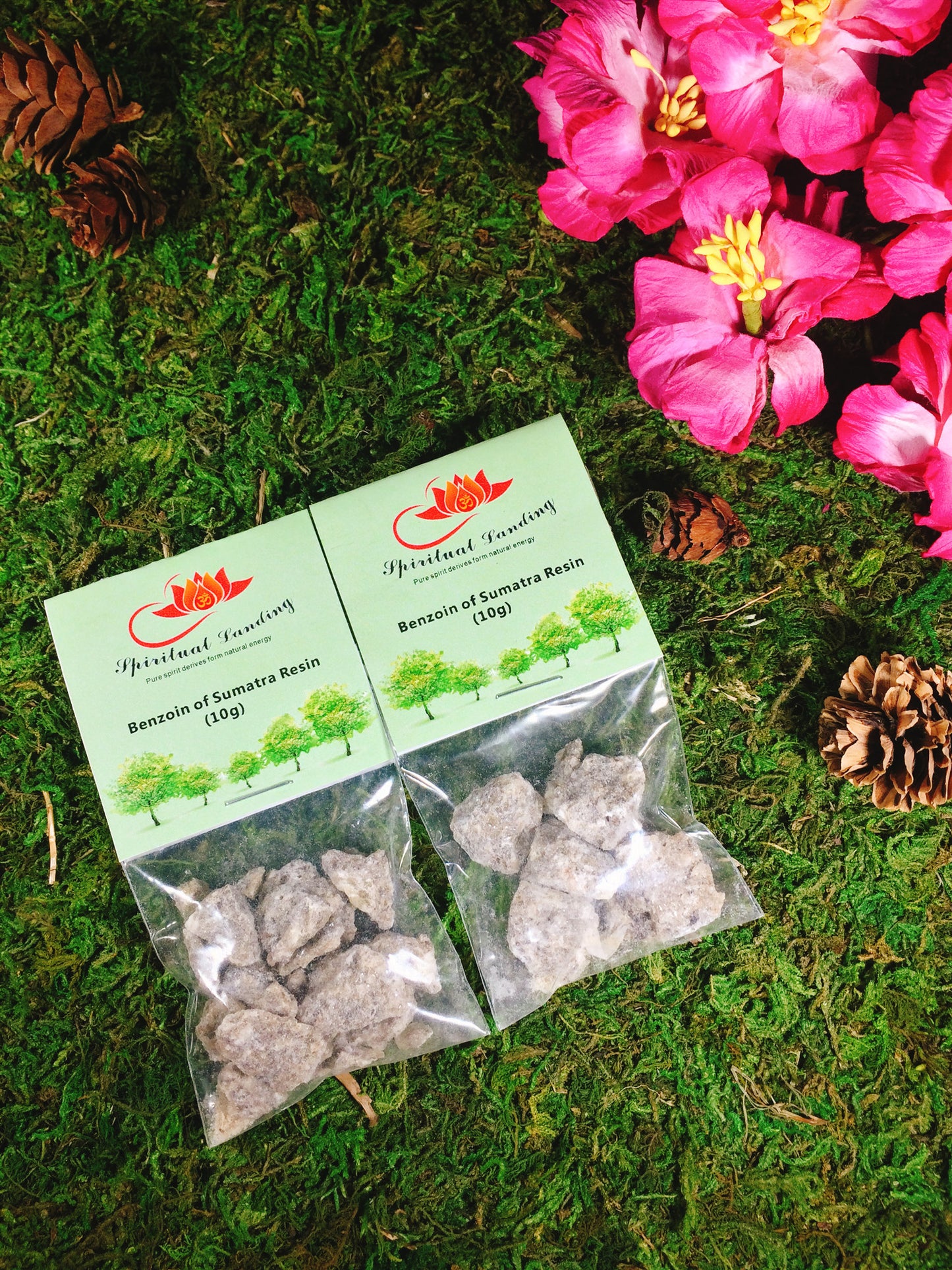 Benzoin of Sumatra Resin Incense (10g)