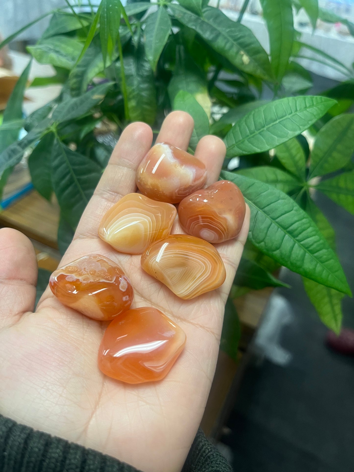 Banded Carnelian Tumbled