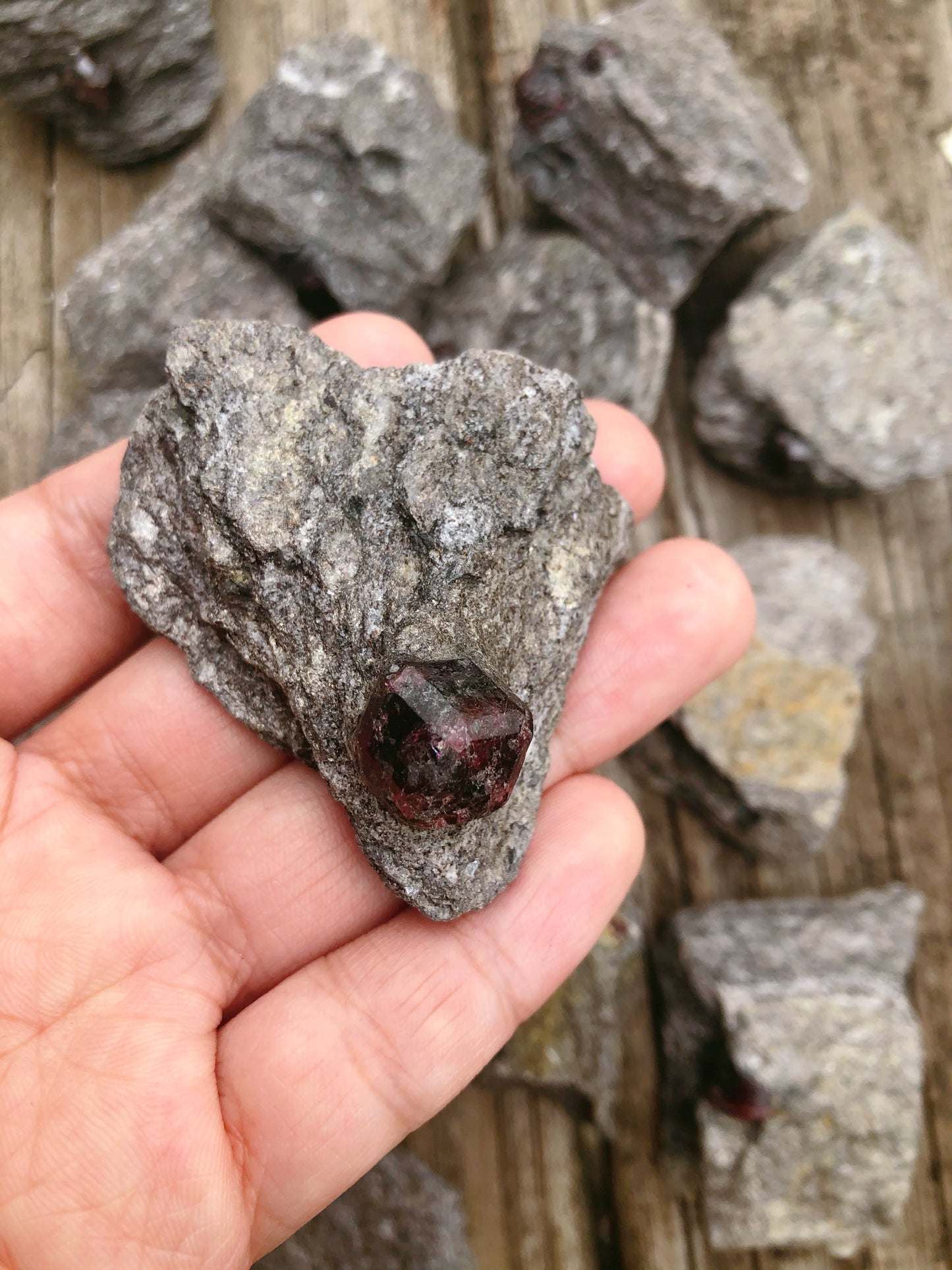 Alaskan Garnet in Schist