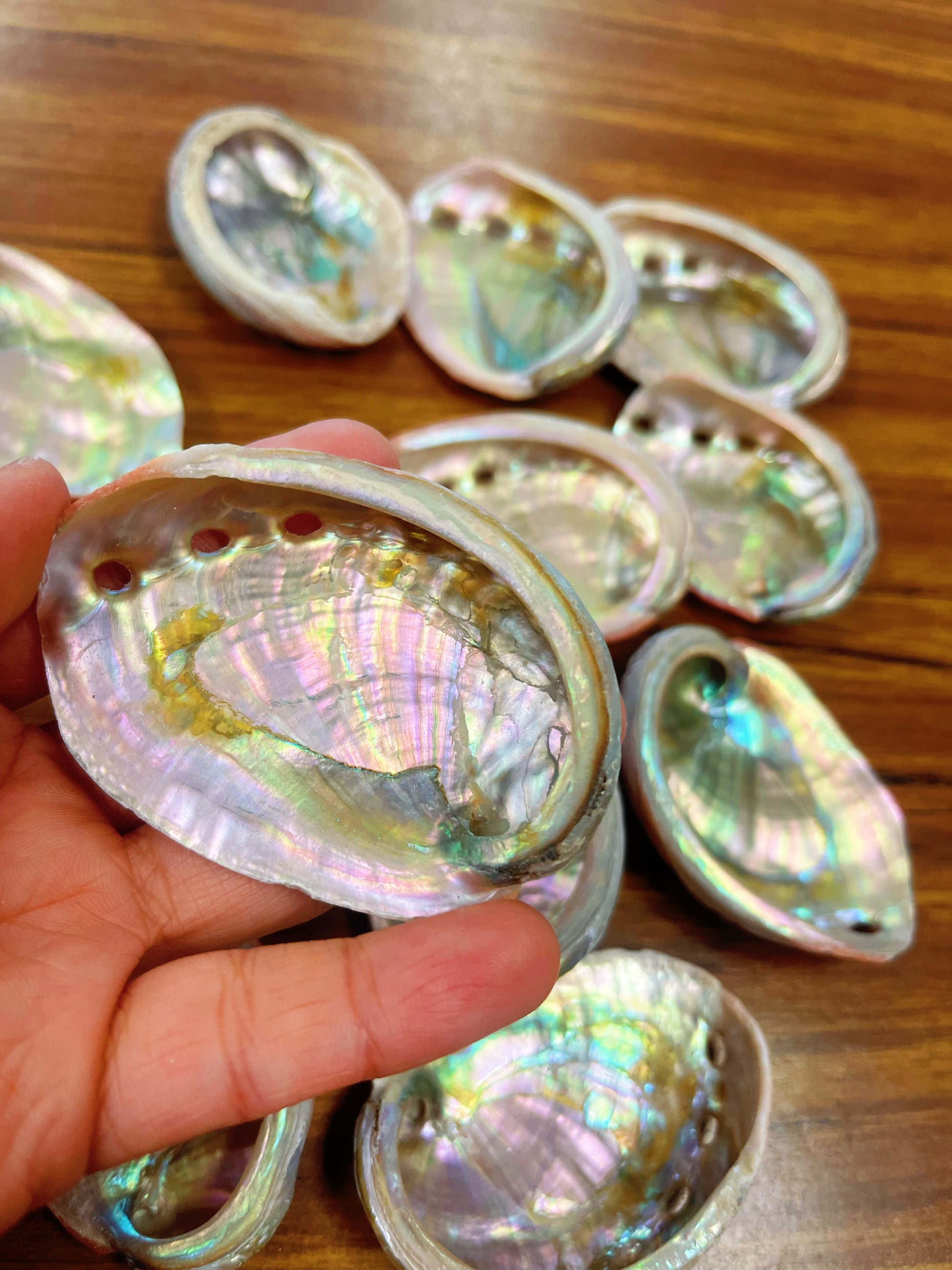 Abalone Meaning: Spiritual Properties Abalone Uses