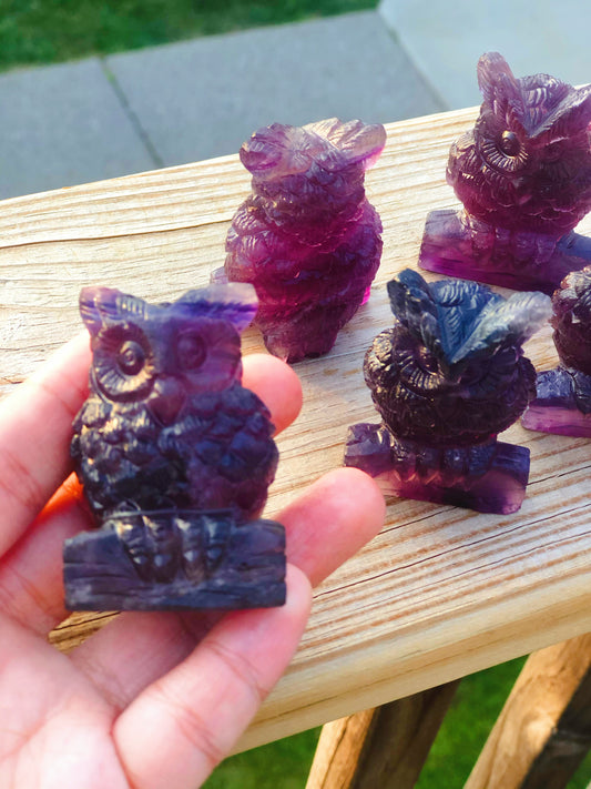 Rainbow Fluorite Owl