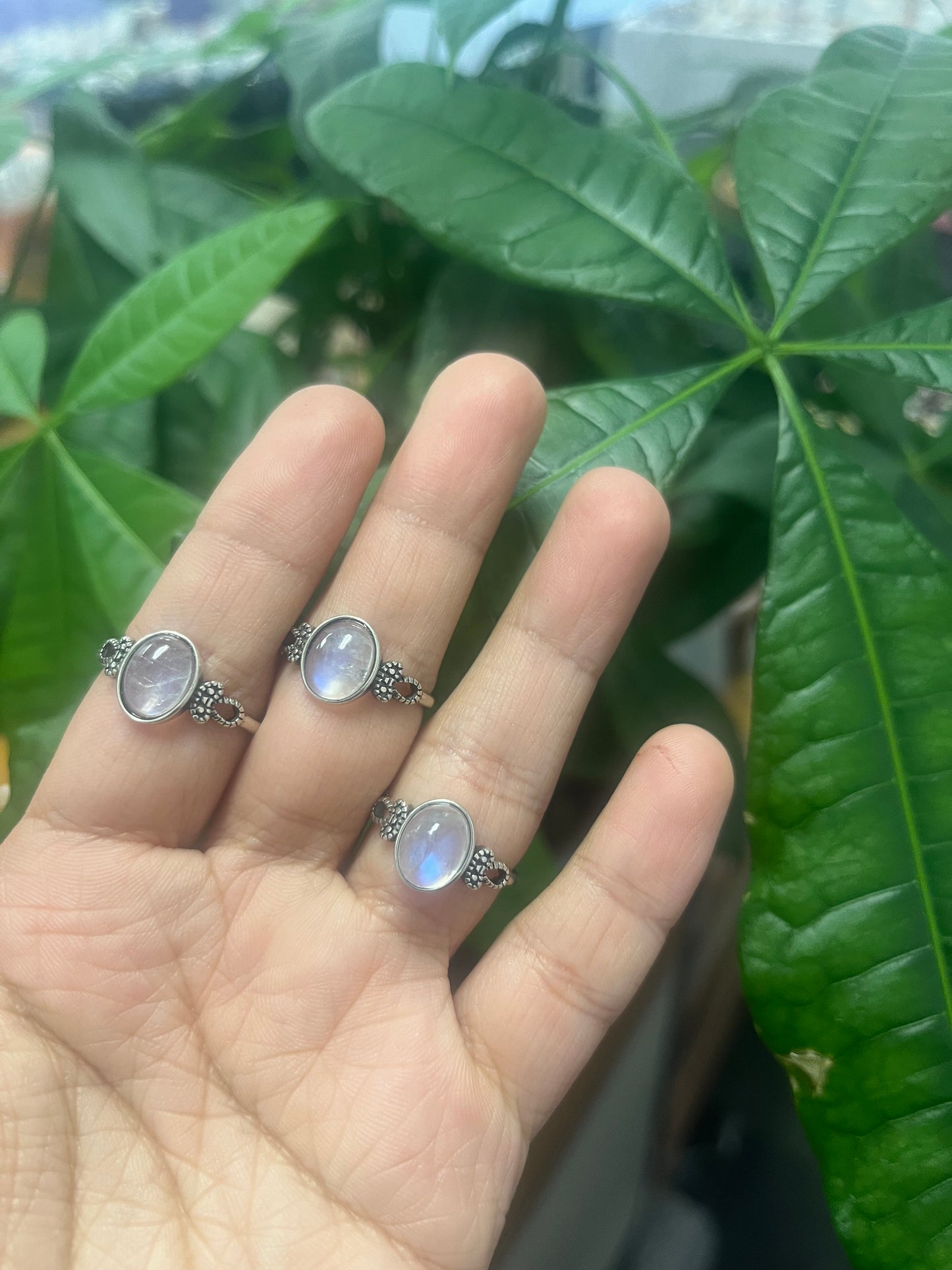 Rainbow Moonstone Sterling Silver  ring