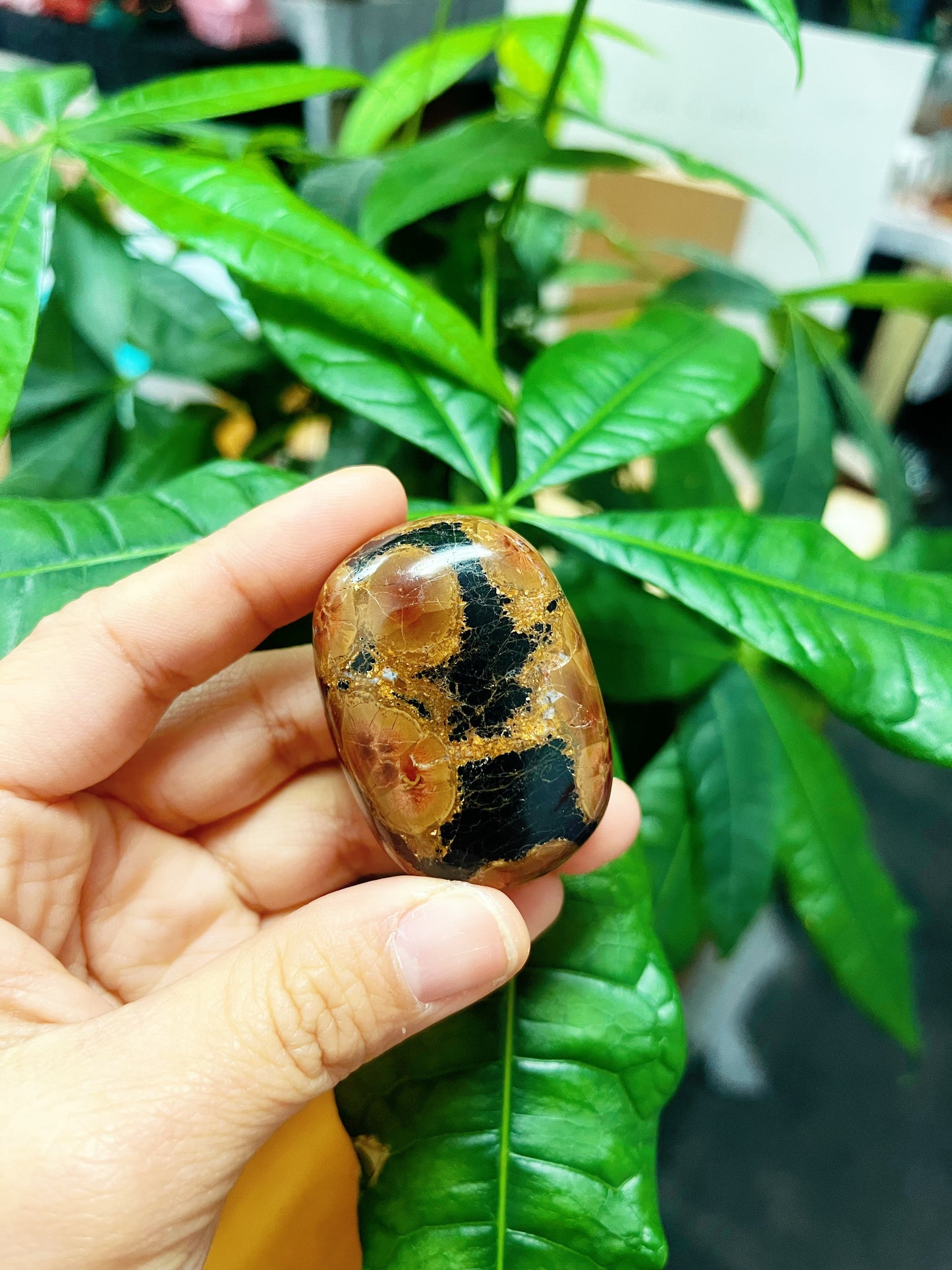 Peanut Obsidian Palm Stone