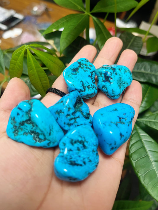 Blue Howlite Tumbled