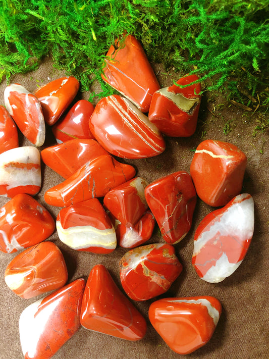 Red Jasper Tumbled