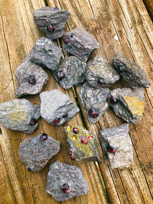 Alaskan Garnet in Schist