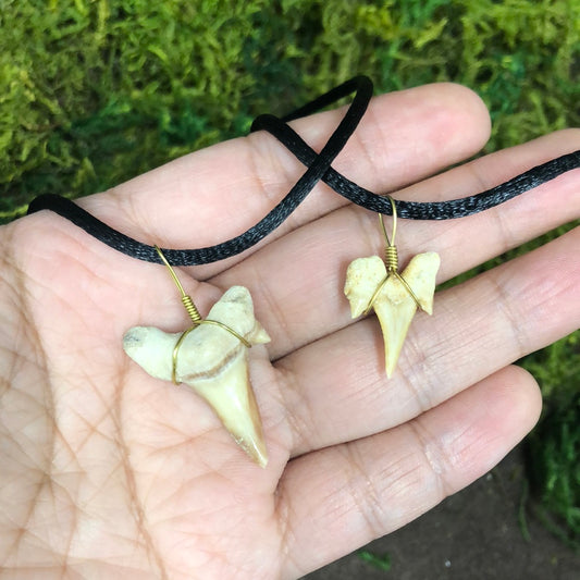 Shark Tooth Necklace