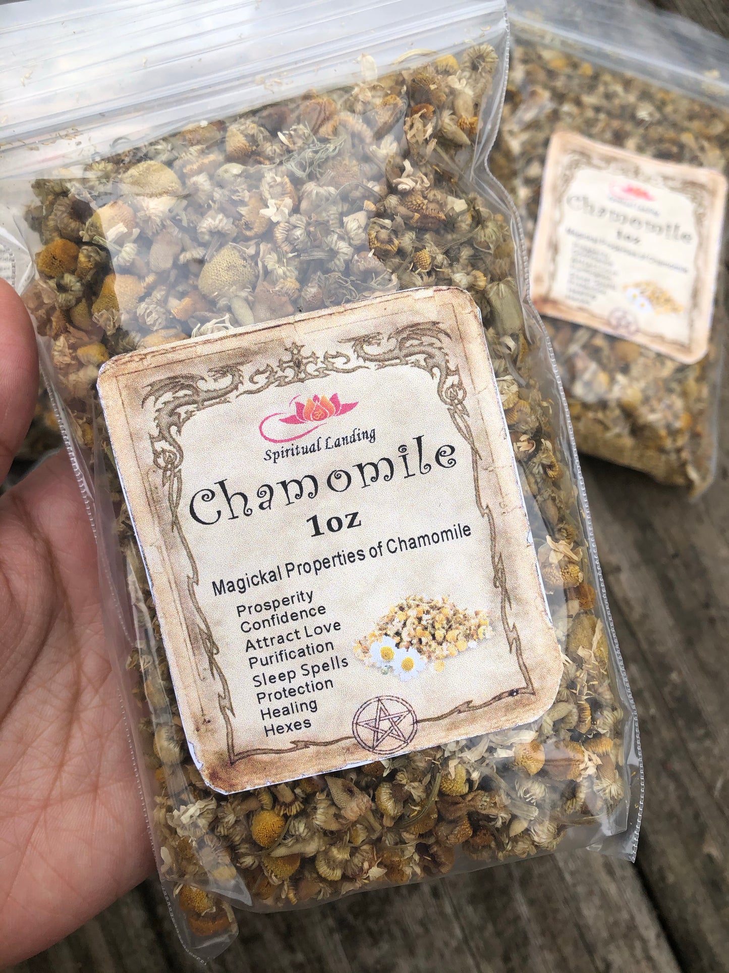 Chamomile Organic