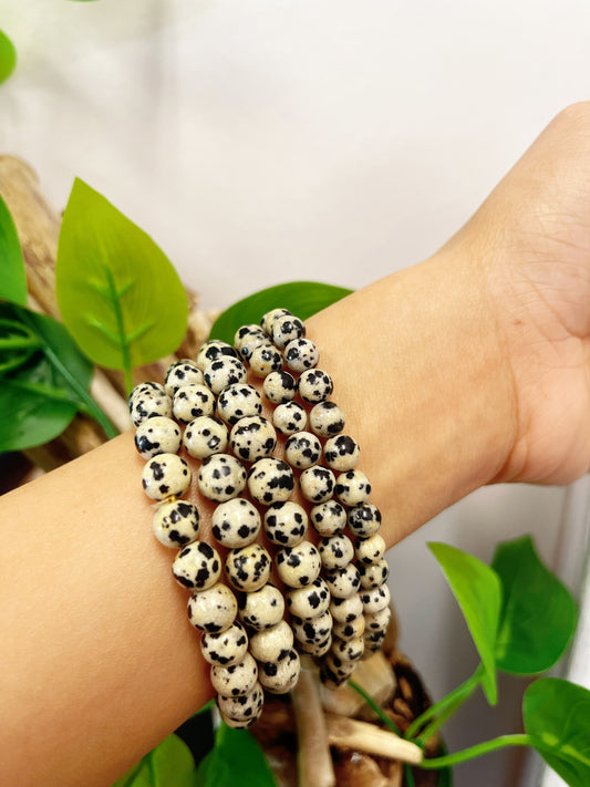 Dalmatian Jasper Bracelet