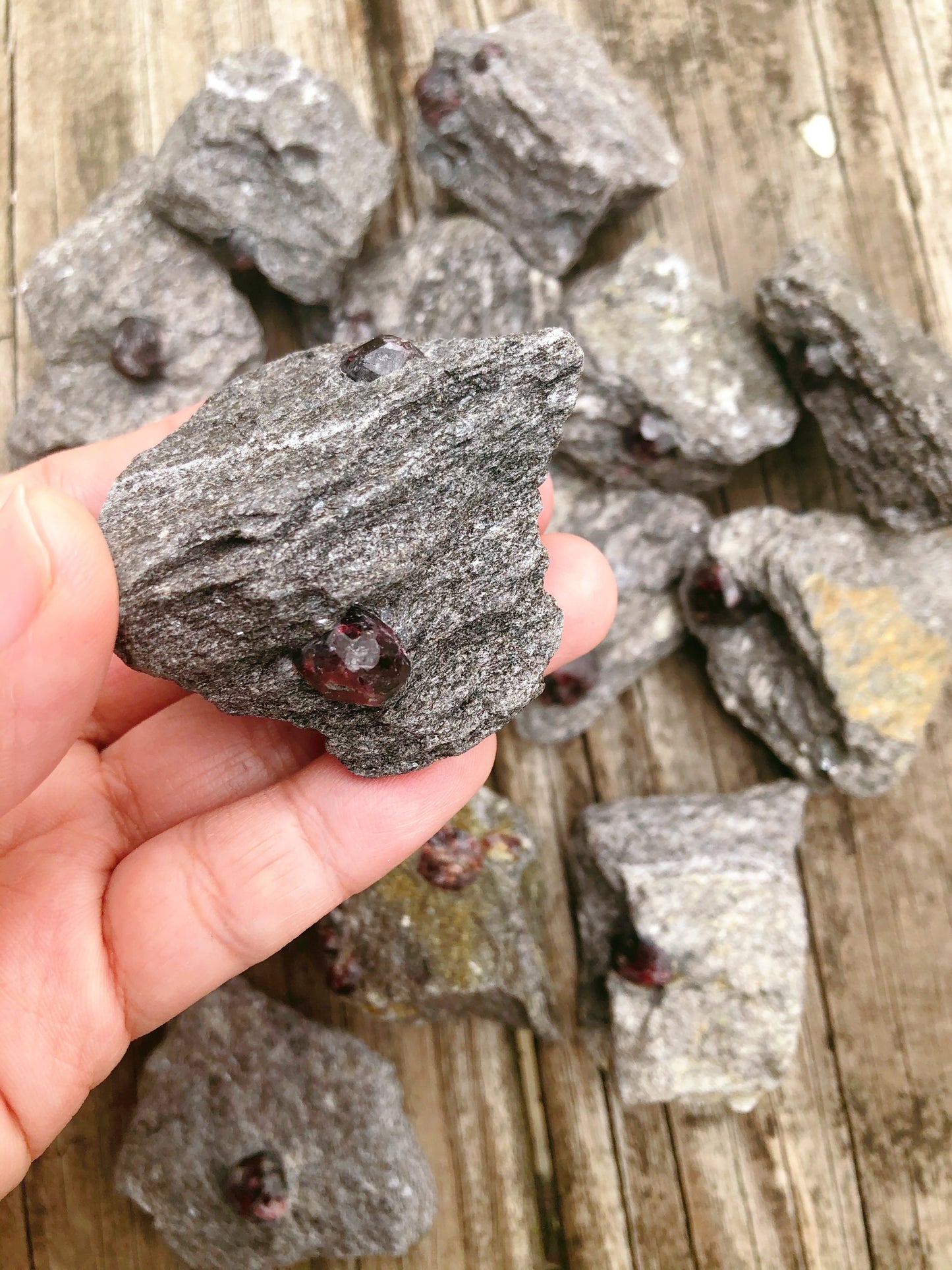 Alaskan Garnet in Schist