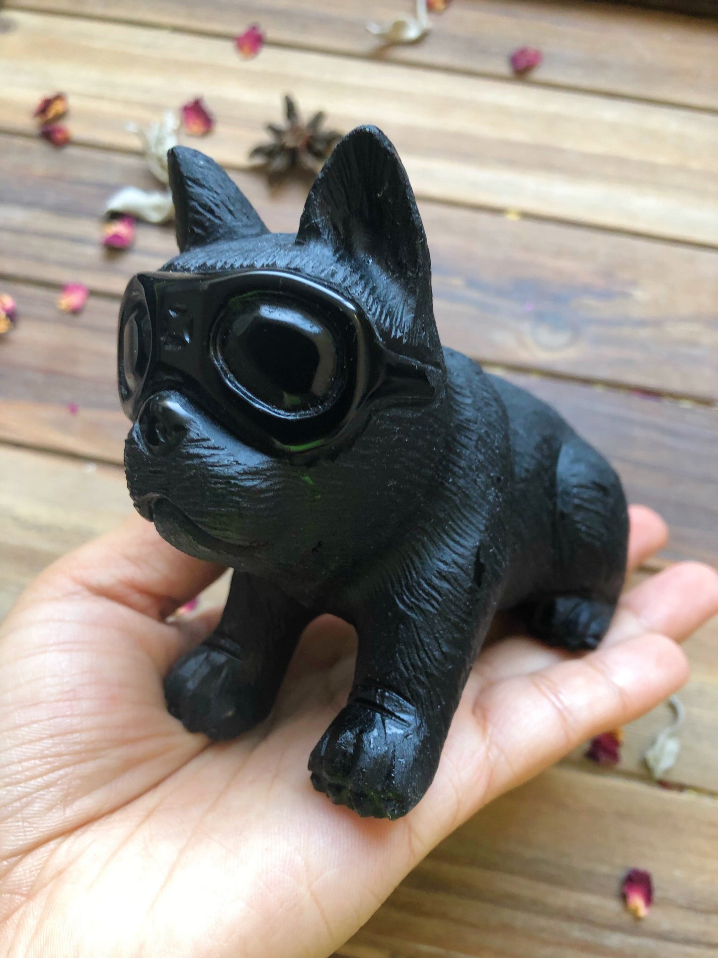 Black Obsidian Puppy with Goggles