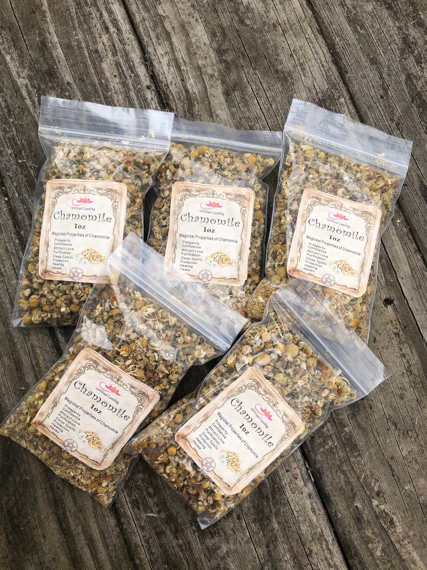 Chamomile Organic