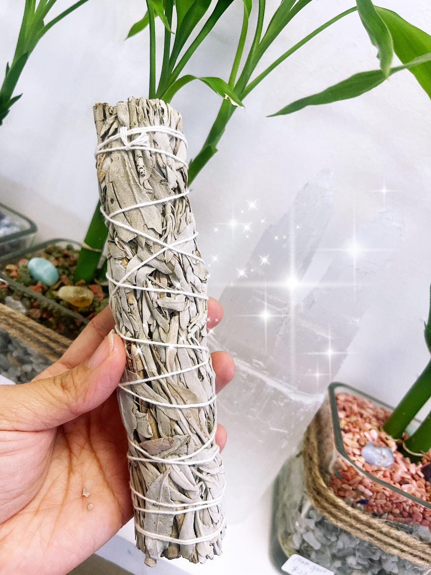 White Sage Stick 9”