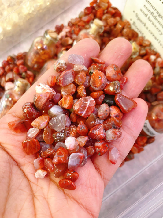 Carnelian Chips