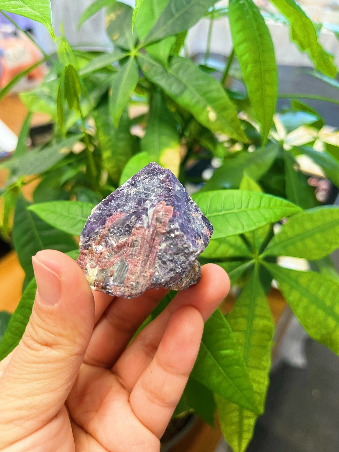 Brazilian Lepidolite