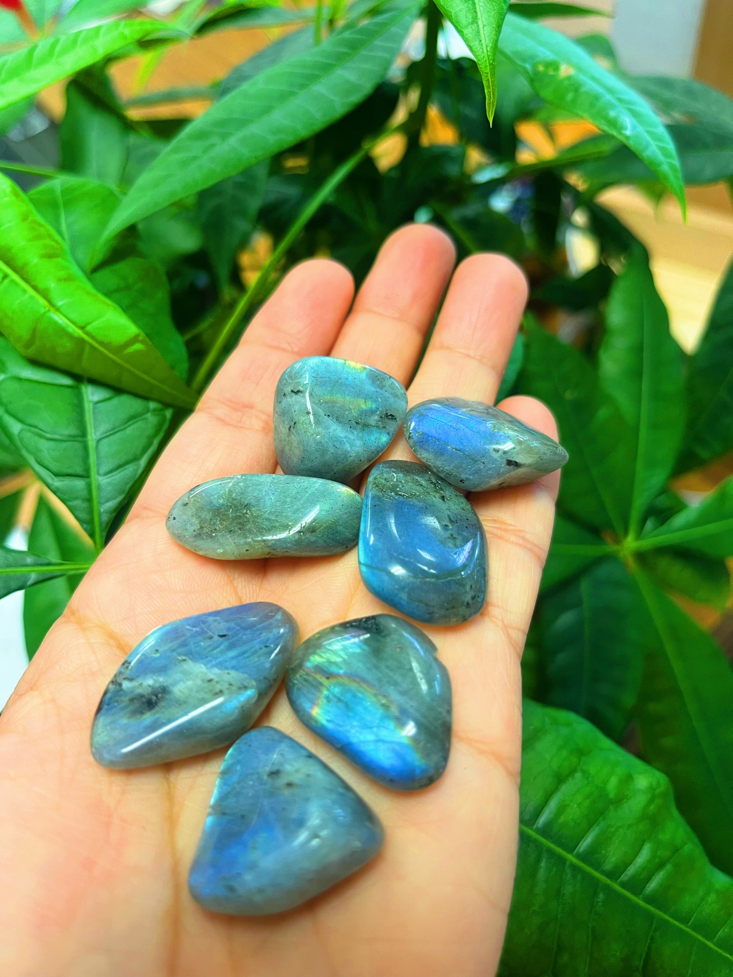 Labradorite Tumbled Stones