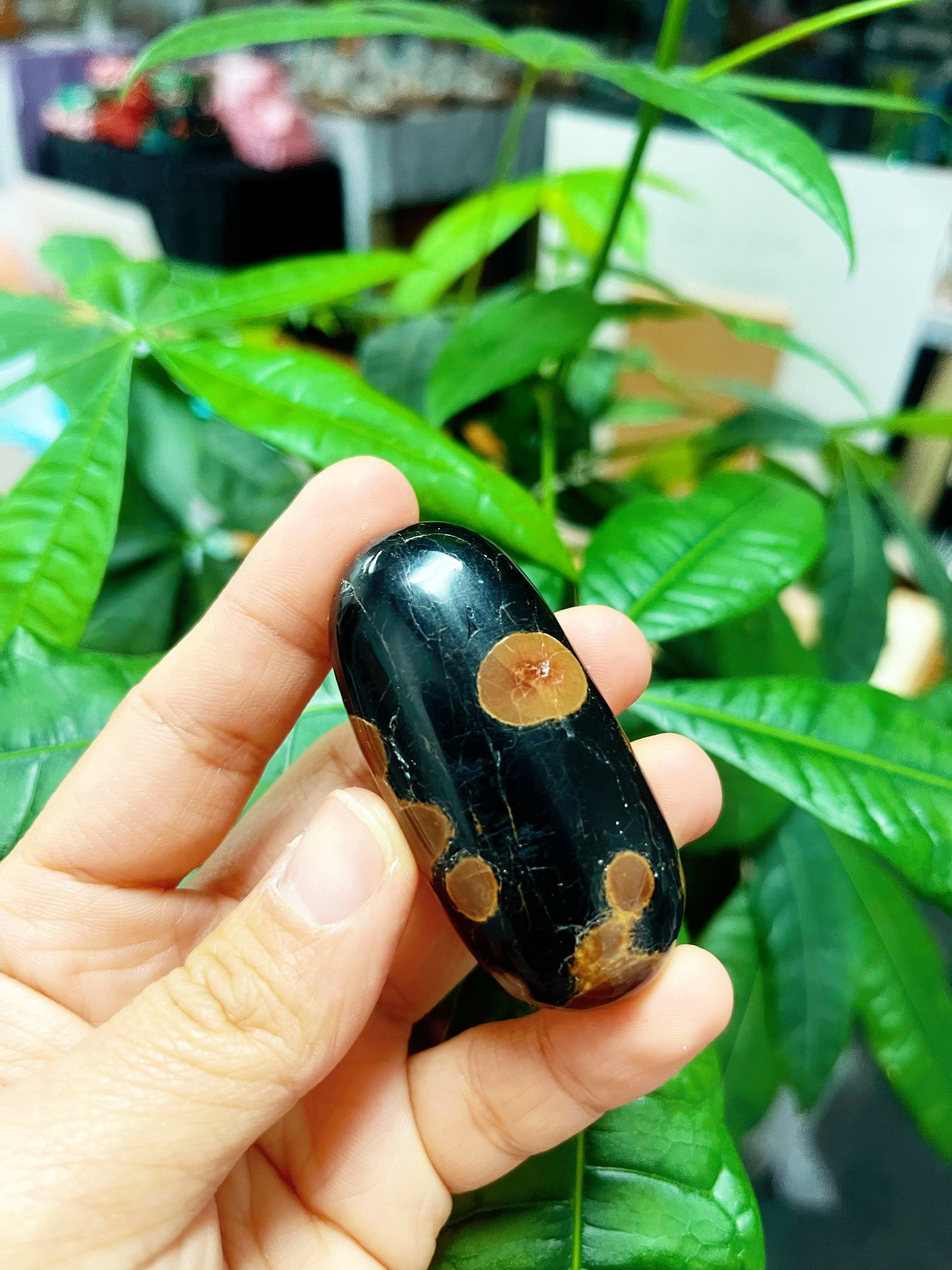 Peanut Obsidian Palm Stone