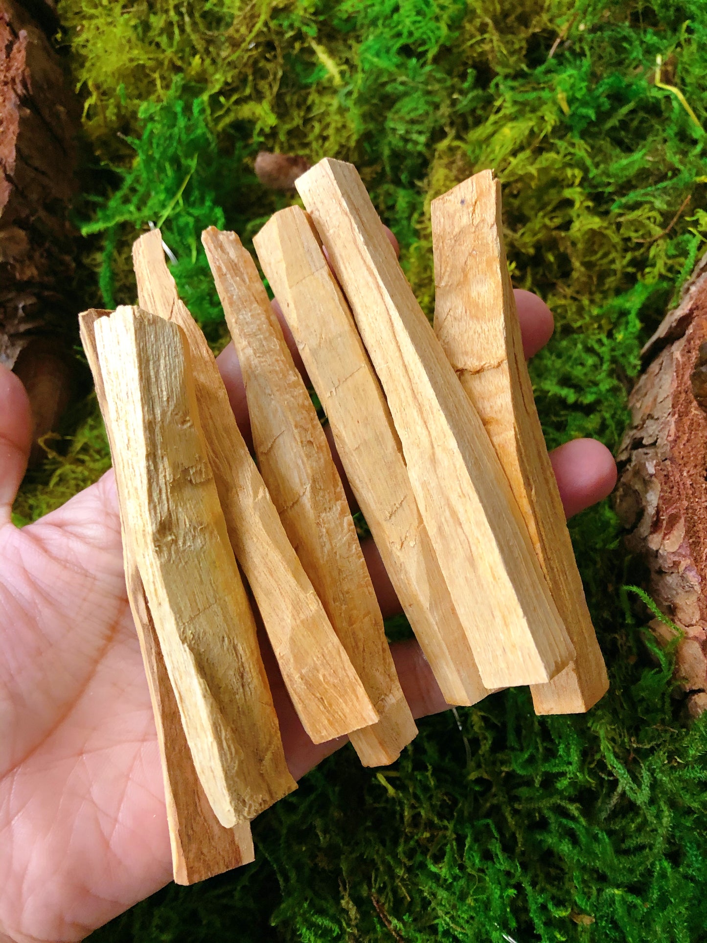 Palo Santo Wood Sticks - Mystic Crystal Dream