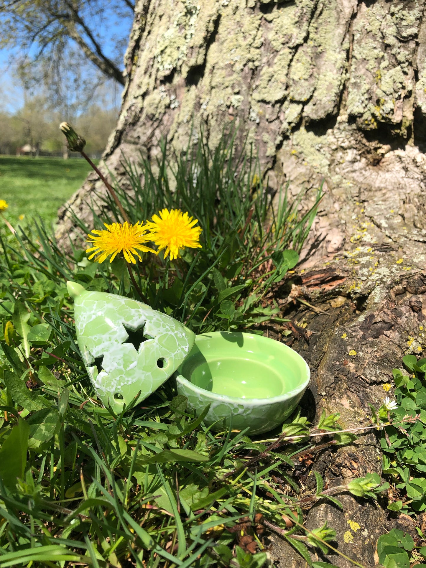 Star-Life Ceramic Cone and Resin Herb Holder