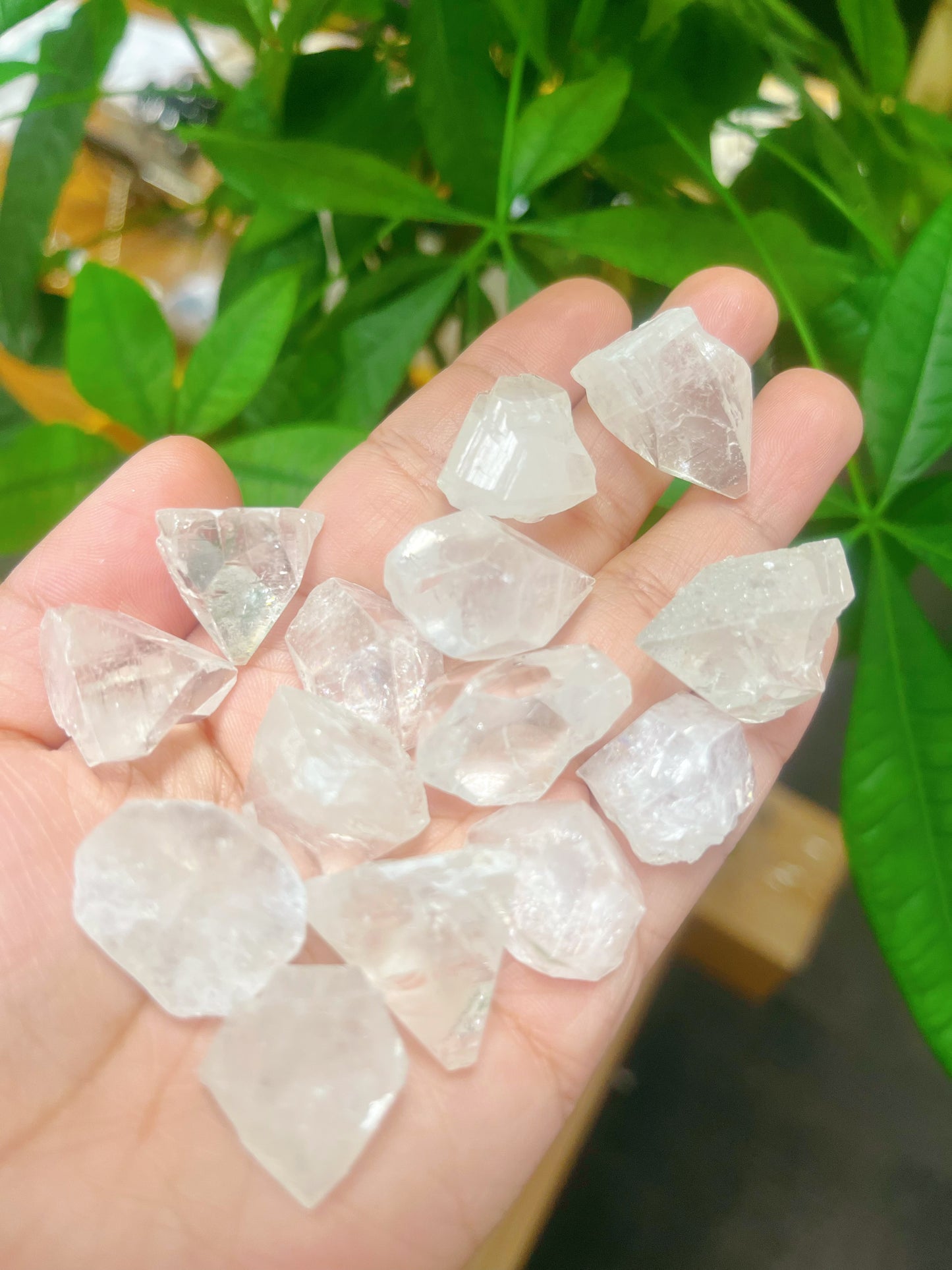 Apophyllite Tips point