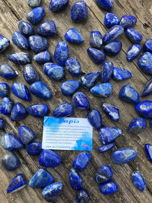 Lapis Lazuli Tumbled