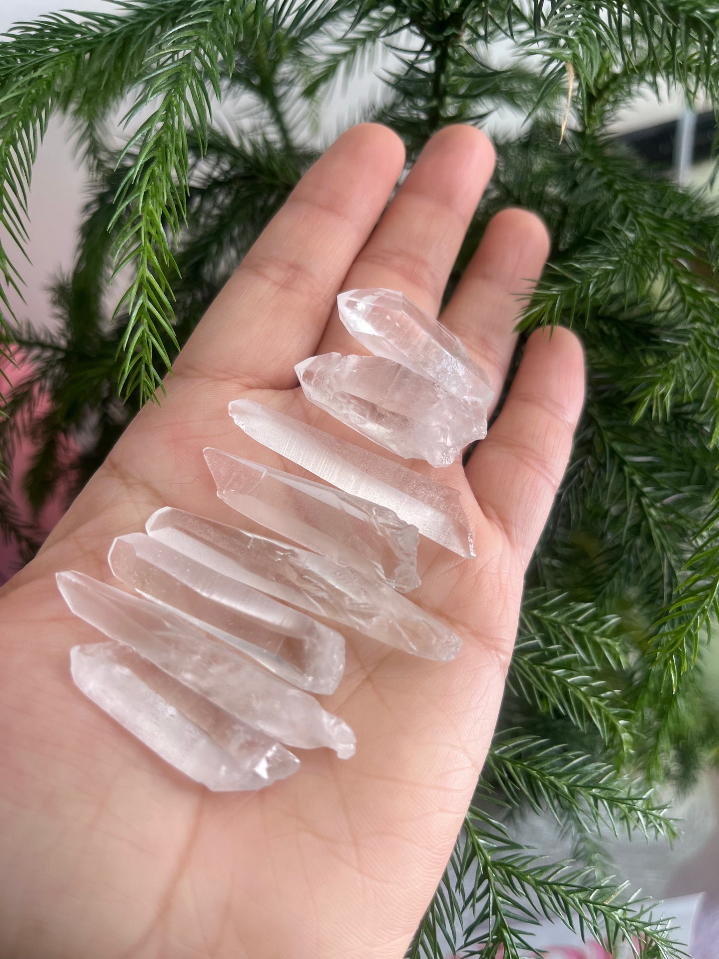 Lemurian Premium Point