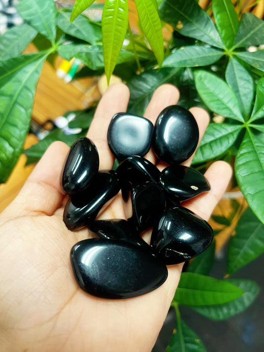 Black Obsidian Tumbled  CH