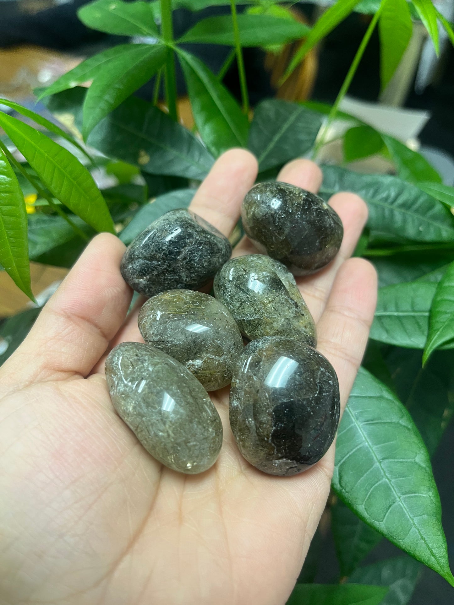 Green Tourmaline Quartz Tumbled