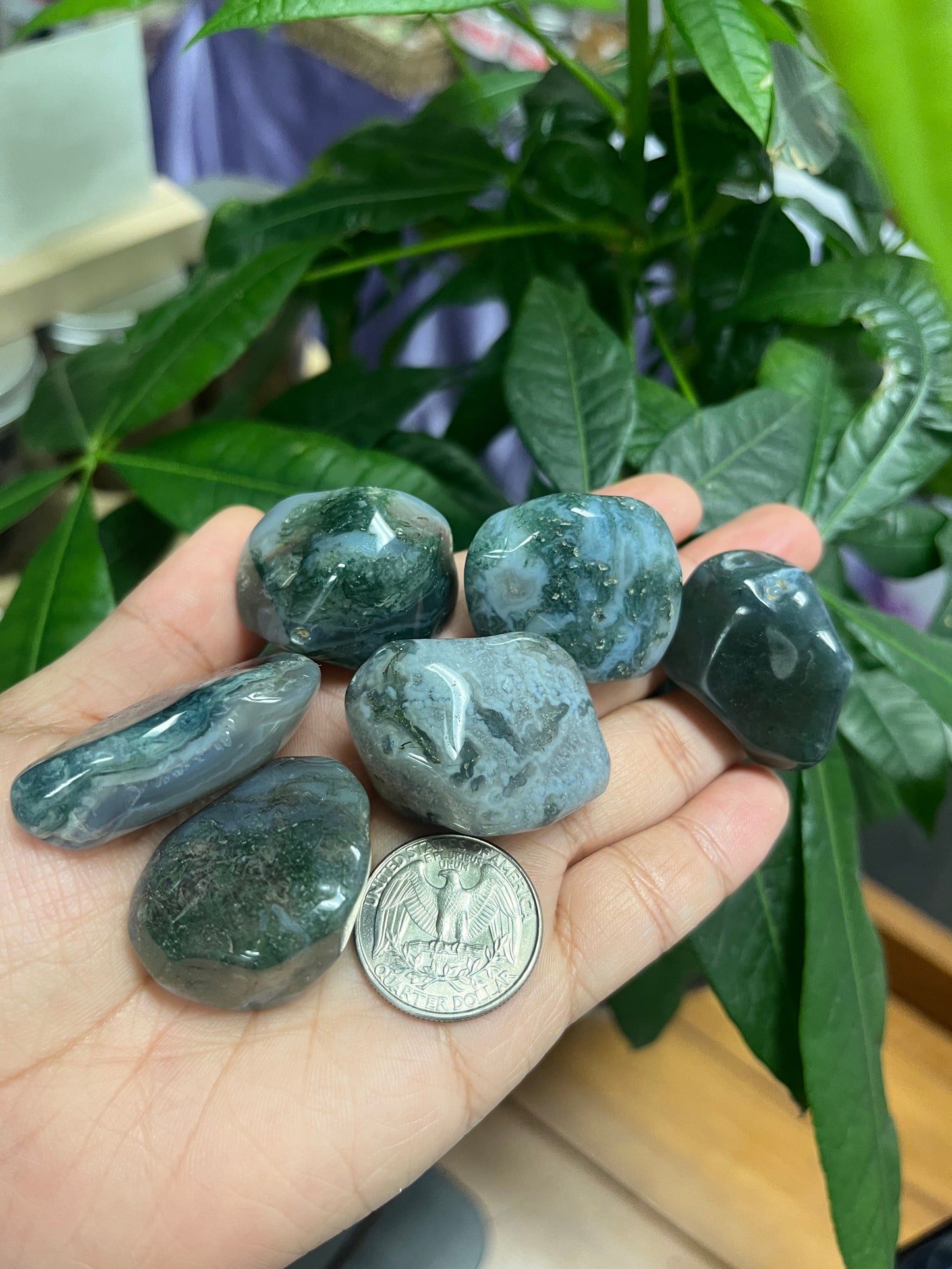 Moss Agate Tumbled