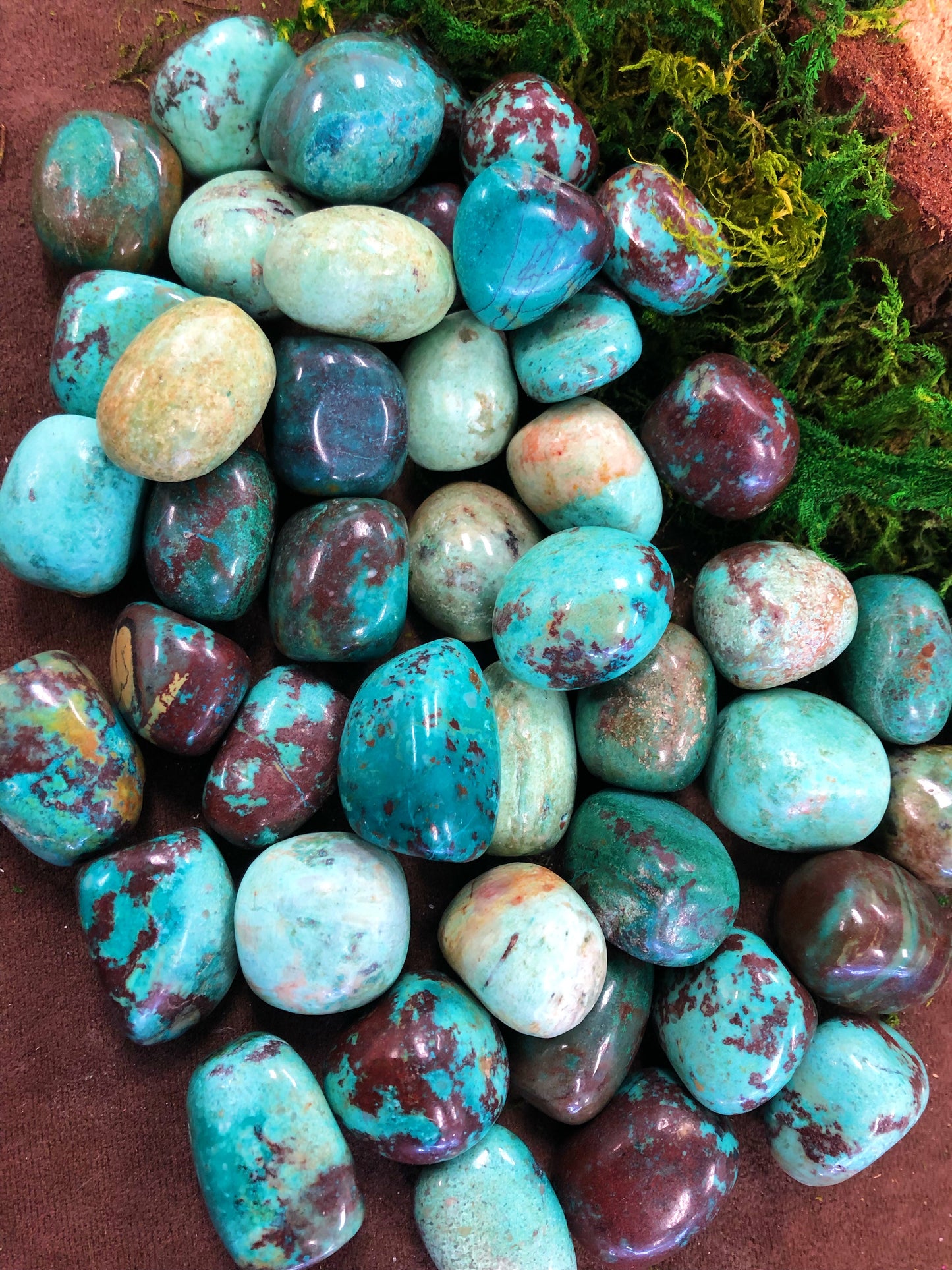 Chrysacolla