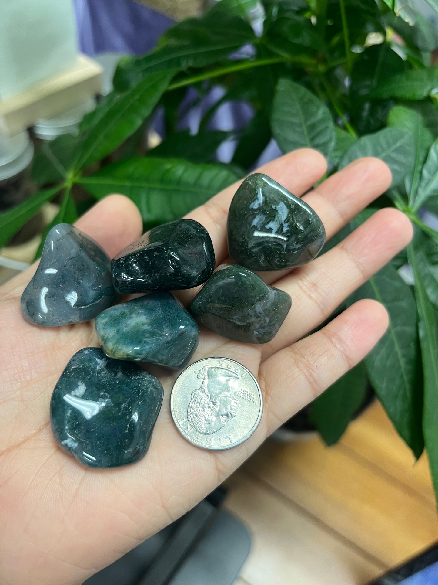 Moss Agate Tumbled