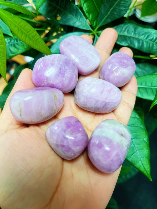 Kunzite Tumbled