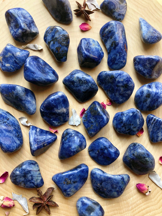 Sodalite Tumbled