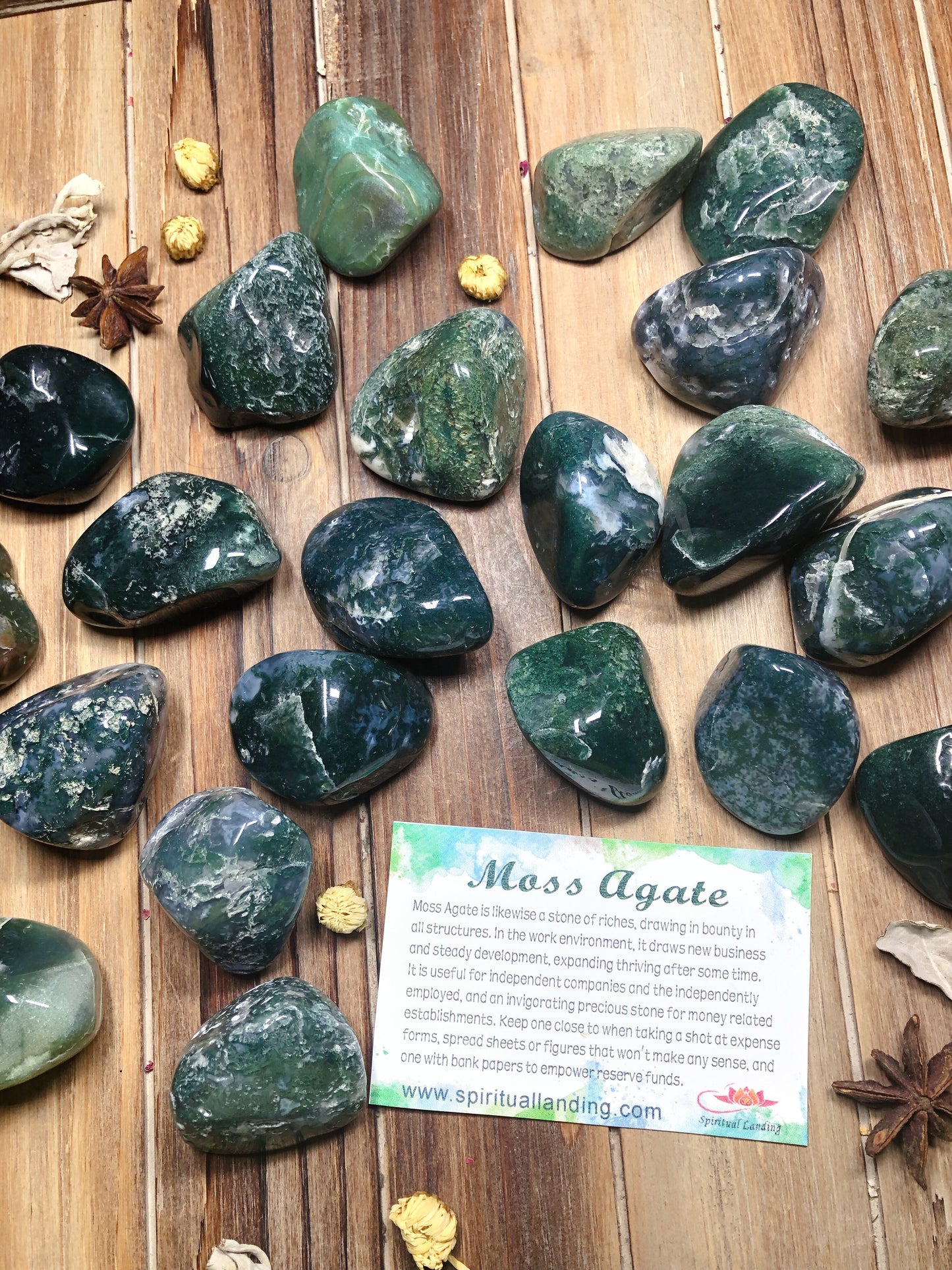 Moss Agate Tumbled